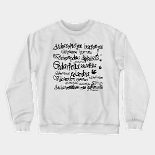 Magic Dinosaur Spell (Black) Crewneck Sweatshirt